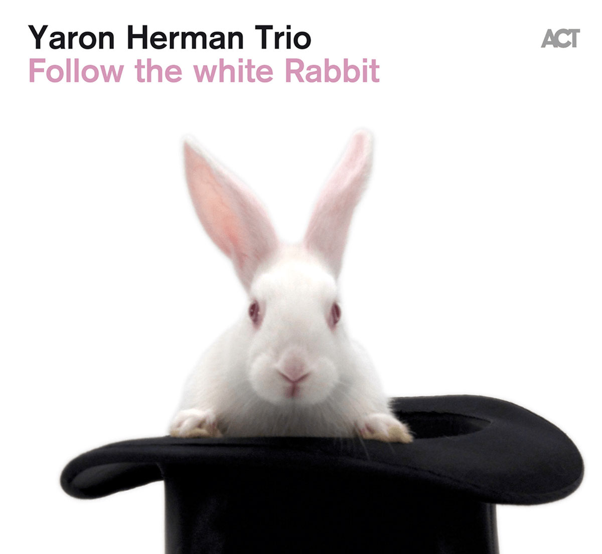 yaron herman follow the white rabbit